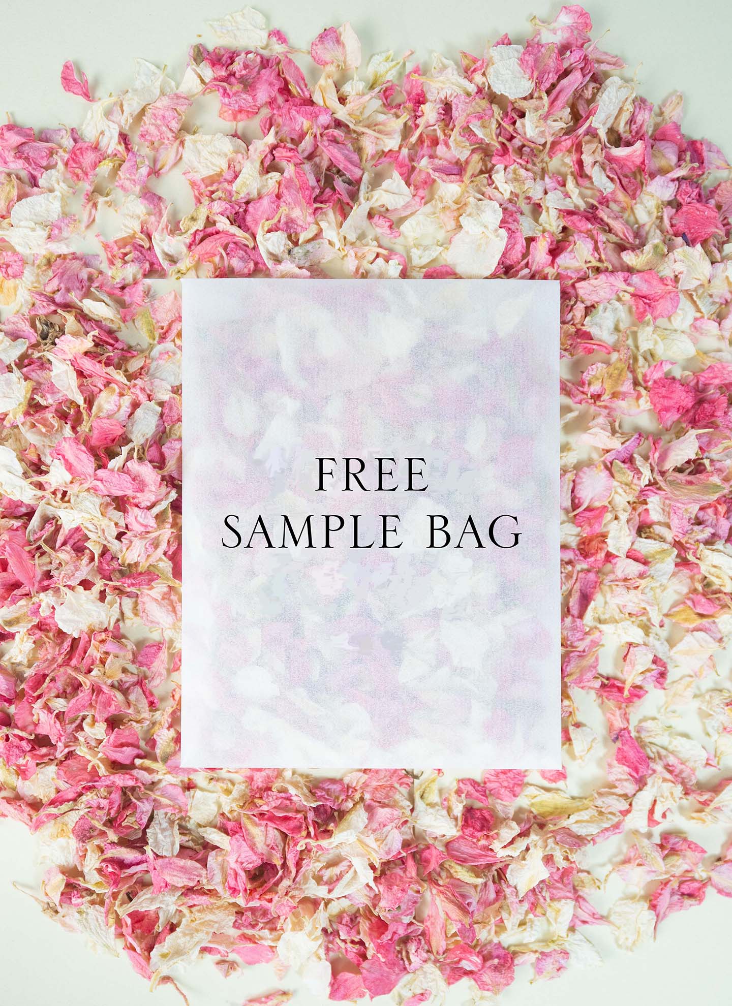 Sample Confetti Bag